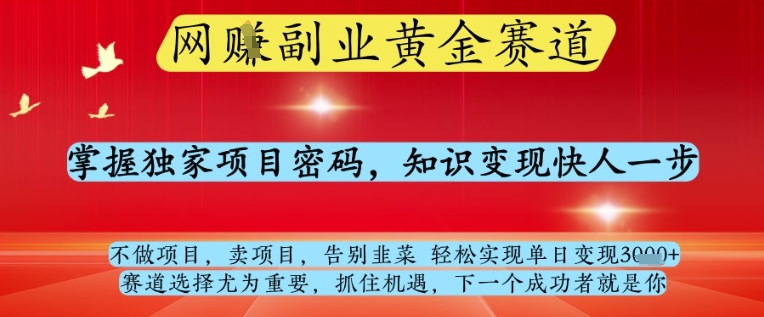 网创副业黄全赛道,掌握独家项目密码,知识变现快人一步,告别韭菜轻松实现单日变现1k+【揭秘】-阳知网创资源库