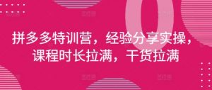 拼多多特训营,经验分享实操,课程时长拉满,干货拉满(更新25年4月)-阳知网创资源库