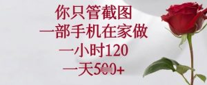 你只管截图，一部手机在家可以做，一小时120.一天5张+【揭秘】-阳知网创资源库
