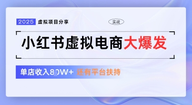 小红书虚拟电商项目，平台大力免费流量扶持，低门槛1拖3玩法-阳知网创资源库