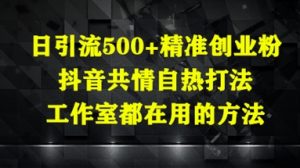 日引流500+精准创业粉,抖音共情自热打法,工作室都在用的方法-阳知网创资源库