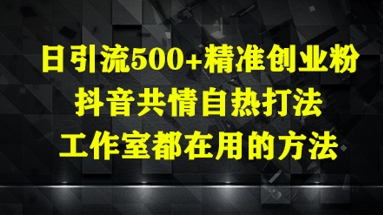 日引流500+精准创业粉,抖音共情自热打法,工作室都在用的方法-阳知网创资源库