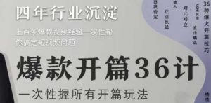 爆款开篇36计2.0,爆款短视频,一次性掌握所有开篇玩法-阳知网创资源库