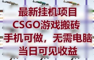 最新挂G项目，CSGO游戏搬砖，手机可做，无需电脑，当日见收益【揭秘】-阳知网创资源库