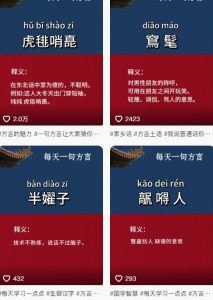 抖音最新涨粉玩法，图文方言暴力涨粉实操，126作品涨粉11W-阳知网创资源库