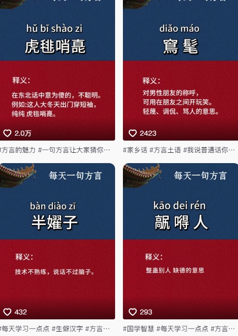 抖音最新涨粉玩法,图文方言暴力涨粉实操,126作品涨粉11W-阳知网创资源库