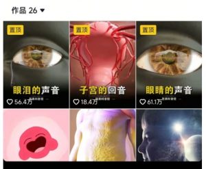 抖音坚果3D动画科普项目，撸视频号分成和抖音伙伴计划，适合零基础小白-阳知网创资源库