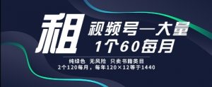 租视频号，一个60每月，2个120.纯绿色、无风险，常年租【揭秘】-阳知网创资源库