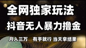 全网独家玩法抖音无人暴力撸金,月入3W,有手就行,当天拿结果【揭秘】-阳知网创资源库