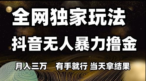 全网独家玩法抖音无人暴力撸金,月入3W,有手就行,当天拿结果【揭秘】-阳知网创资源库