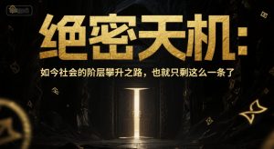 付费文章:绝密天机:如今社会的阶层攀升之路,也就只剩这么一条了-阳知网创资源库