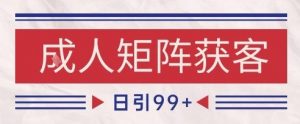 小红书某音橙人赛道引流获客，自热矩阵日引200+【揭秘】-阳知网创资源库