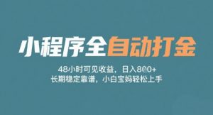 小程序全自动打金,48小时可见收益,日入多张,长期稳定靠谱,小白宝妈轻松上手【揭秘】-阳知网创资源库
