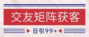 小红书某音交友赛道引流获客 自热矩阵日引200+【揭秘】-阳知网创资源库