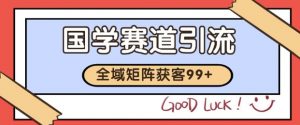 小红书某音国学赛道引流获客 自热矩阵日引200+【揭秘】-阳知网创资源库