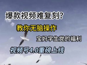 视频号4.0重磅上线，爆款视频难复刻？教你无脑操作宝妈学生党的福利【揭秘】-阳知网创资源库