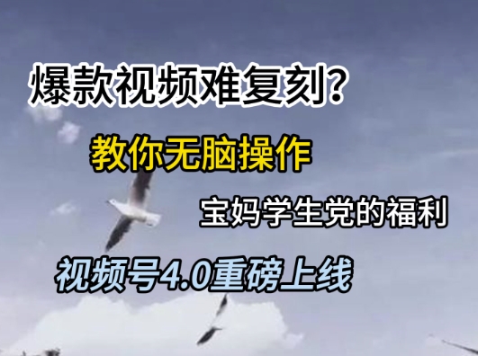视频号4.0重磅上线，爆款视频难复刻？教你无脑操作宝妈学生党的福利【揭秘】-阳知网创资源库