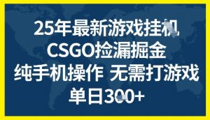 25年CSGO游戏搬砖，全自动挂G，不需要玩游戏，手机操作日入3张+【揭秘】-阳知网创资源库