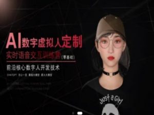 AI数字虚拟人定制,实时语音交互训练营(零基础),前沿核心数字人开发技术-阳知网创资源库