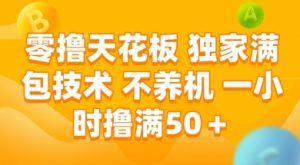 零撸天花板，独家满包技术 不养机 一小时撸满50+【揭秘】-阳知网创资源库