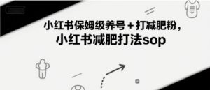 小红书保姆级养号+打减肥粉，小红书减肥打法sop-阳知网创资源库