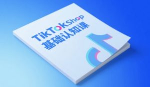 TikTok小店基础认知课,助力学员从 0 到 1 掌握 TikTok 电商运营全链路认知-阳知网创资源库