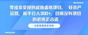 零成本变现的咸鱼虚拟项目， 轻资产运营，新手日入3张+，目前没有项目的老铁正合适-阳知网创资源库