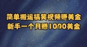 简单搬运搞笑视频挣美金,新手一个月入1k美金-阳知网创资源库