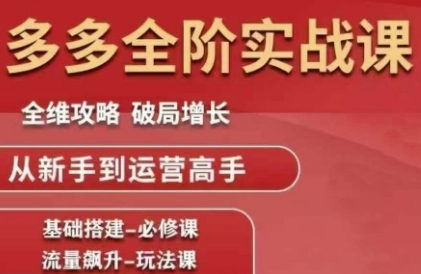 拼多多全阶实战课程,全维攻略,破局增长,从新手到运营高手-阳知网创资源库