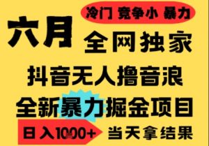 25年6月高爆抖音无人直播最新撸音浪掘金项目,小白可做,无脑日入1k+,门槛低可批量矩阵【揭秘】-阳知网创资源库