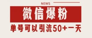 微信爆粉,私域暴力引流打法日引千粉 单号日进50+【揭秘】-阳知网创资源库