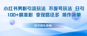 小红书男粉引流玩法不废号玩法日引100男粉变现路径多操作简单-阳知网创资源库