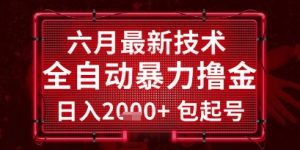 六月最新技术全自动暴力撸金,稳定日入2k+包起号,长期稳定【揭秘】-阳知网创资源库