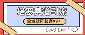 小红书某音塔罗赛道引流获客 自热矩阵日引200+【揭秘】-阳知网创资源库
