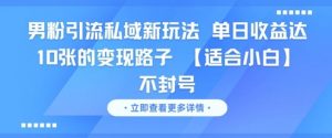 男粉引流私域新玩法，单日收益达10张的变现路子 【适合小白】不封号-阳知网创资源库