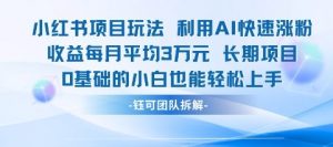 适合小白操作的小红书新项目，利用AI快速涨粉，收益每月平均1W+-阳知网创资源库