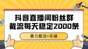 抖音直播间粉丝群暴力截流，一台电脑每天稳定2000条数据【揭秘】-阳知网创资源库