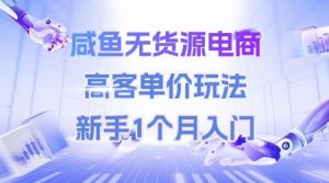 咸鱼无货源电商,高客单价玩法,新手1个月入门-阳知网创资源库