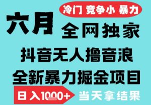2025年6月高爆抖音无人直播最新撸音浪掘金项目，无脑日入1k+，低门槛小白可做，可矩阵放大【揭秘】-阳知网创资源库