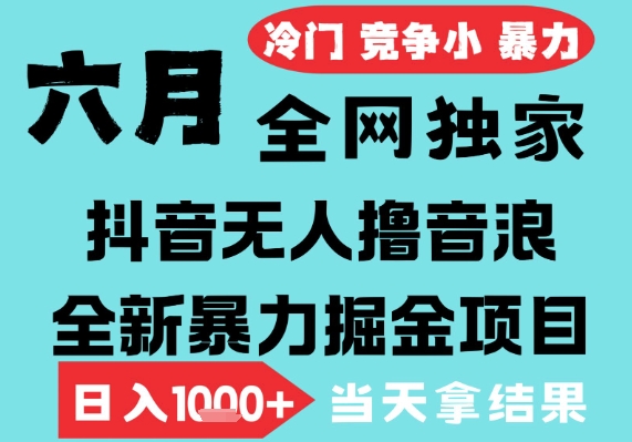2025年6月高爆抖音无人直播最新撸音浪掘金项目，无脑日入1k+，低门槛小白可做，可矩阵放大【揭秘】-阳知网创资源库
