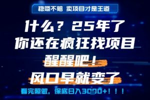 什么？25年你还在疯狂找项目做，醒醒吧，看完这些你全都懂了！【揭秘】-阳知网创资源库