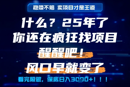 什么?25年你还在疯狂找项目做,醒醒吧,看完这些你全都懂了!【揭秘】-阳知网创资源库