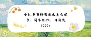 小红书男粉引流项目之美女账号6,简单制作,条条爆款原创,不违规-阳知网创资源库
