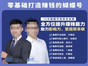 蝴蝶号专栏-视频号运营教程,零基础打造挣钱的蝴蝶号,14天蝴蝶号变现全攻略-阳知网创资源库