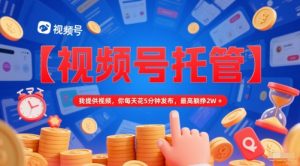 【视频号托管 】我提供视频,你每天花5分钟发布,最高躺挣2W+【揭秘】-阳知网创资源库