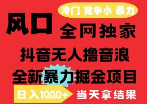 25年6月高爆抖音无人直播最新撸音浪掘金项目,解放双手小白可做,无脑日入1k+,门槛低【揭秘】-阳知网创资源库