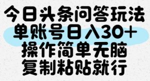 今日头条问答玩法,单账号日入30+,操作简单无脑复制粘贴就行-阳知网创资源库