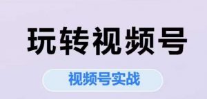 玩转视频号,视频号实战系列课-阳知网创资源库