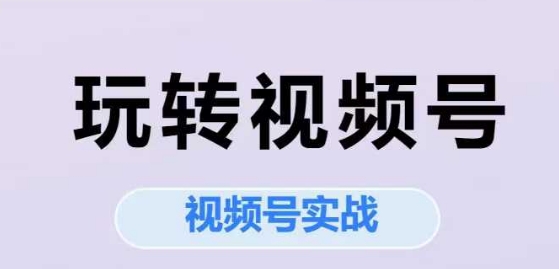 玩转视频号,视频号实战系列课-阳知网创资源库