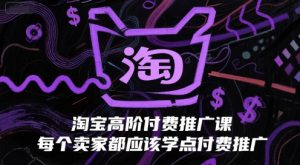 淘宝高阶付费推广课，每个卖家都应该学点付费推广-阳知网创资源库